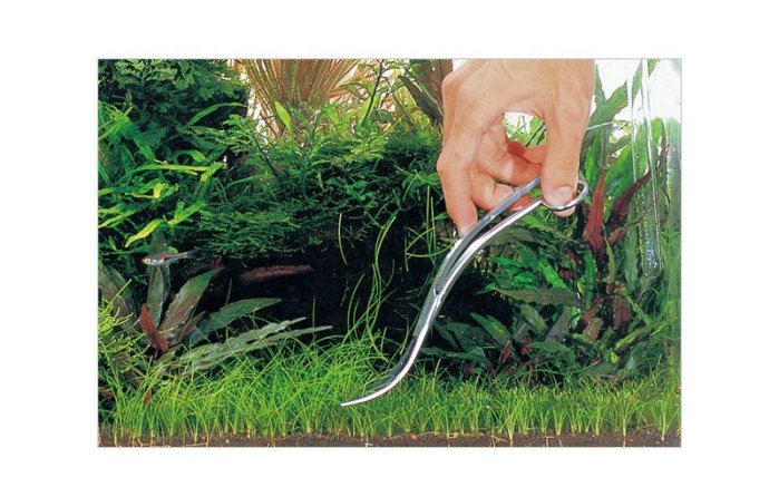 ◎ 水族之森◎ 日本ADA 專業水草剪Pro-Scissors Wave （2015 年式限量