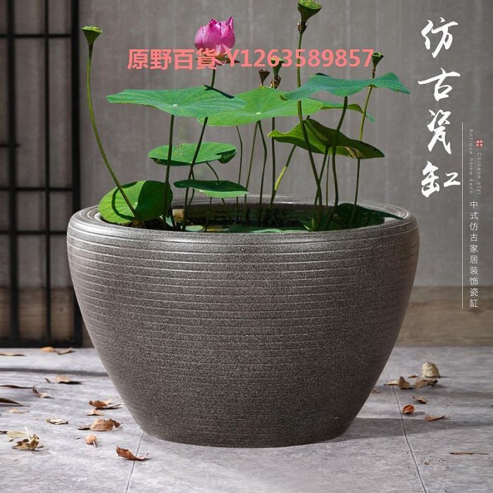 特大荷花缸 • 金魚缸 荷花水缸｜優惠推薦- 蝦皮購物- 2025年8月