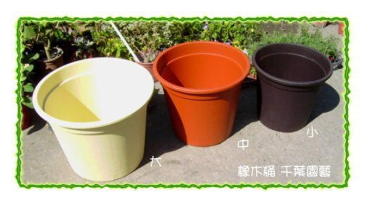橡木桶花盆/多尺寸可選/高級塑膠盆/耐曬耐用- 千葉園藝有限公司| Yahoo拍賣