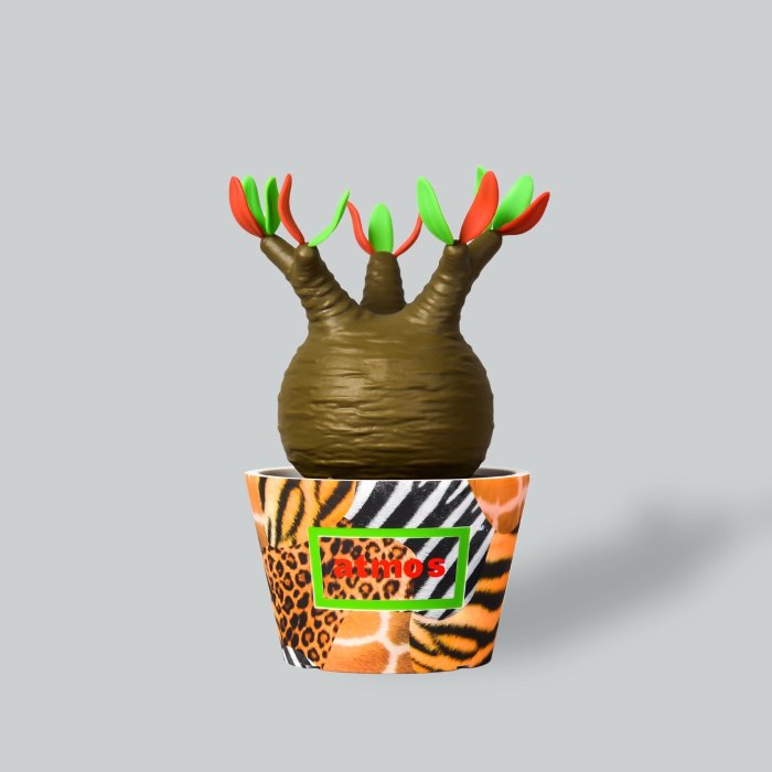 MEDICOM TOY atmos BOTANIZE グラキリス MEDICOM TOY VCD Pachypodium Gracilius Var. atmos Animal MULTI