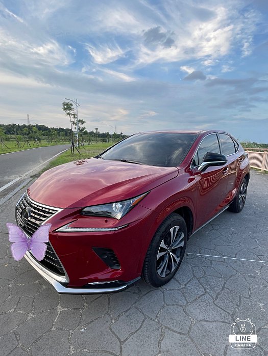 Lexus NX200/菁英plus版 車型年份2021年紅色