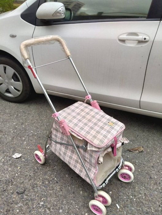 【浪漫349】狀況好 2手二手寵物狗外出推車 小型犬 快速收放 台南市北區看貨自取