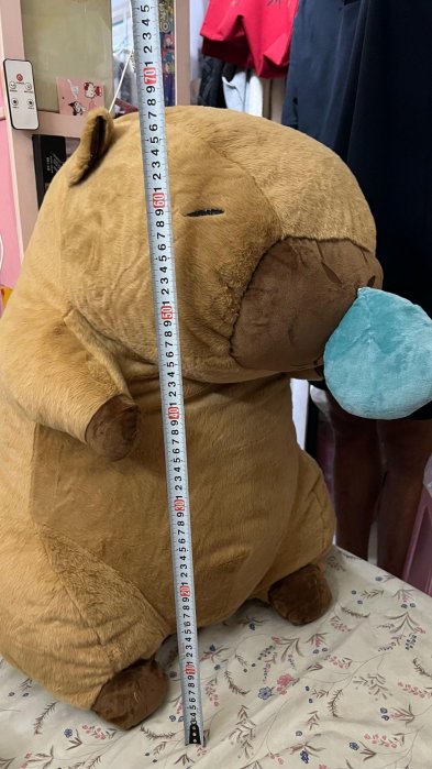 70cm 卡皮巴拉❤️超大型水豚娃娃 柔軟療癒超好抱❤️