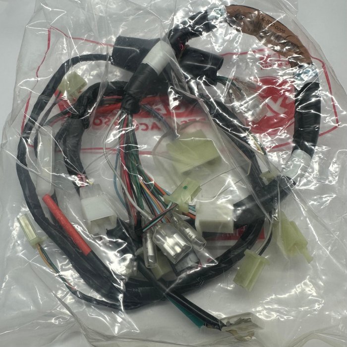 SYM 一代小雙錶 初代野狼傳奇 野狼傳奇125 傳狼傳 主線路 主配線 全車配線 正廠零件 原廠零件 公司貨