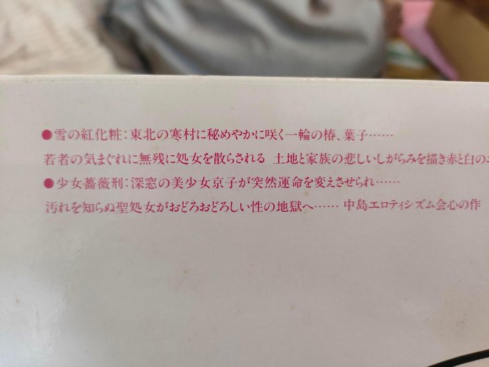 罕見絕版動漫收藏) 日本最早里番動畫1984年出版成人動畫-雪の紅化粧