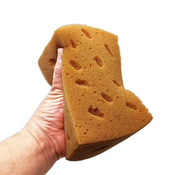 【珍愛頌】C048 加厚型 9CM 珊瑚海綿 洗車海綿 擦車海綿 泡沫海棉 吸水海棉 蜂窩狀 浴室清潔 汽車清潔 擦車