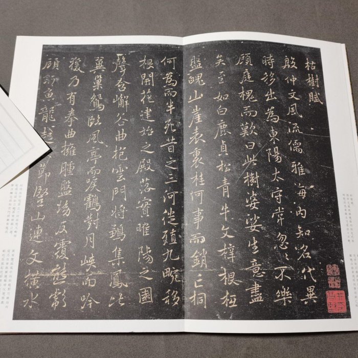 嚴選21版褚遂良枯樹賦，二玄社典藏品相佳枯樹賦褚遂良字帖書法| Yahoo拍賣