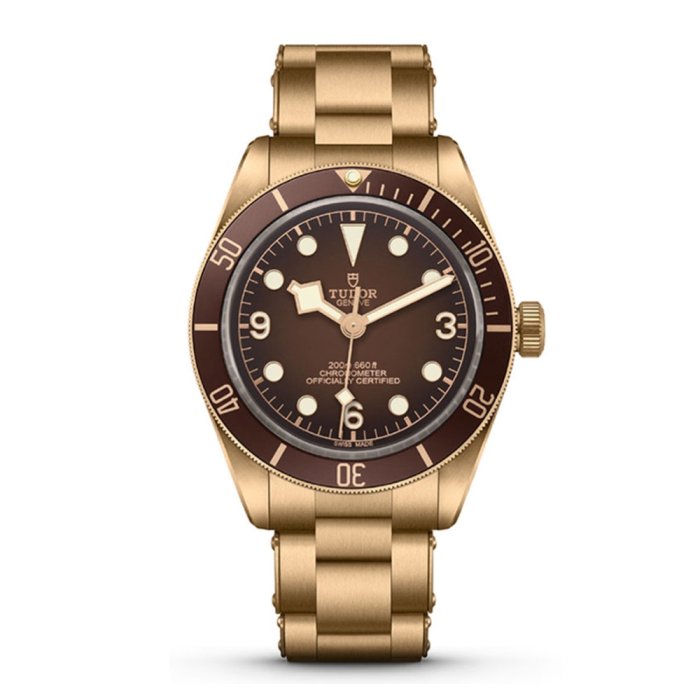 TUDOR 帝舵 M79012M-0001 BLACK BAY 機械錶 39mm 青銅錶 79012M