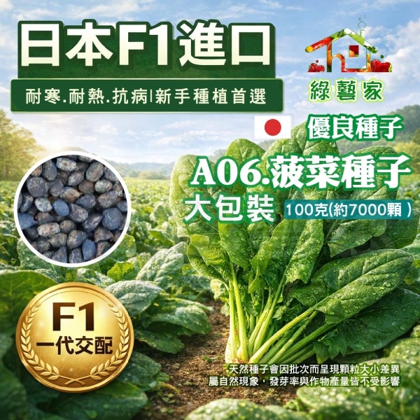 【綠藝家】大包裝A06 菠菜種子100克(約7000顆)藥劑處理 抗熱 抗寒 耐病 蔬菜種子 陽台種菜 園藝顆