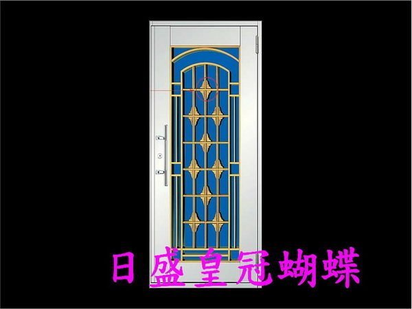 ✦日盛門窗行✦不鏽鋼門組２２✦兩年保固免運費✦不銹鋼門 白鐵門 防盜門 大門 後門