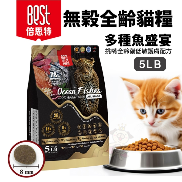 BEST 倍思特 無穀天然貓糧 多種魚盛宴 5LB 挑嘴全齡貓 低敏護膚配方 貓飼料 貓糧『寵喵樂旗艦店』