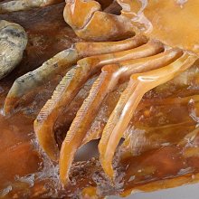 蟹-優惠推薦2026年2月| Yahoo拍賣