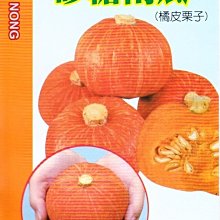 栗子南瓜 【滿790免運費】砂糖南瓜(橘皮 栗子南瓜) 【蔬果種子】興農牌 每包約6粒 台中市