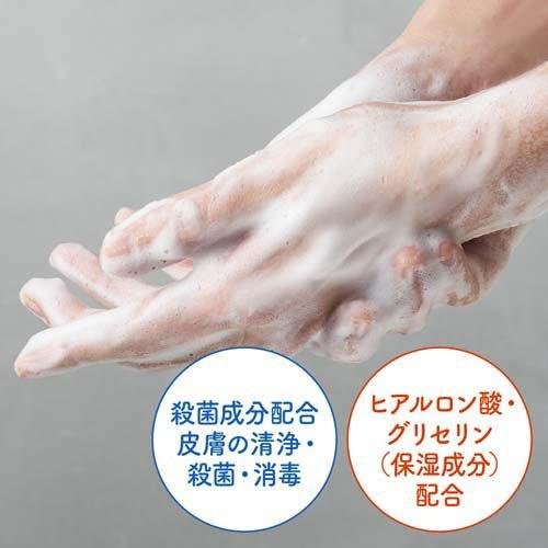＊日式雜貨館＊日本製 biore 香氛泡沫洗手乳 280ml  Aesop平替版洗手乳 herbal wood 木質香調 洗手泡沫