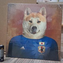 柴犬日本-優惠推薦2026年8月| Yahoo拍賣