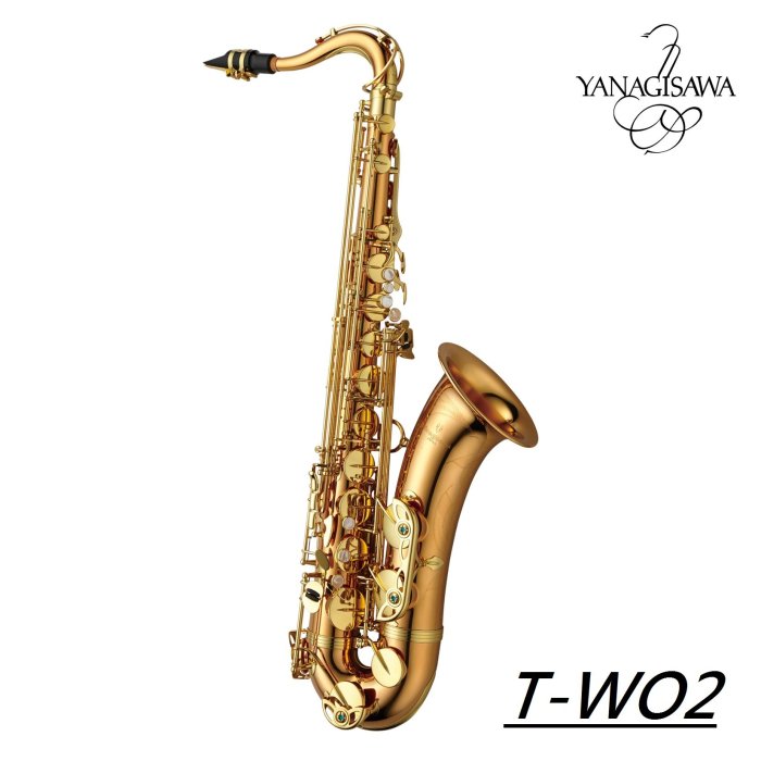 ♪ 薩克斯風玩家館 ♫『日本柳澤YANAGISAWA T-WO2 /次中音薩克斯風』日本製．輕量化