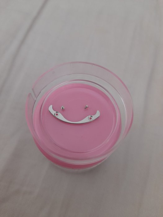 3135機芯擺輪旁夾板 保護弓 附螺絲~勞力士 天府 游絲 16234 16233 16200零件材料 1570 eta