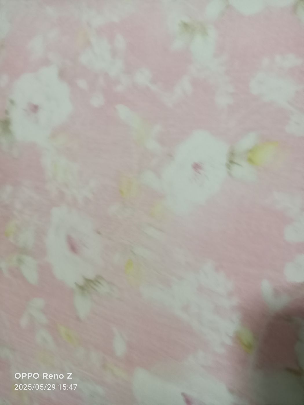 太有錢's review image