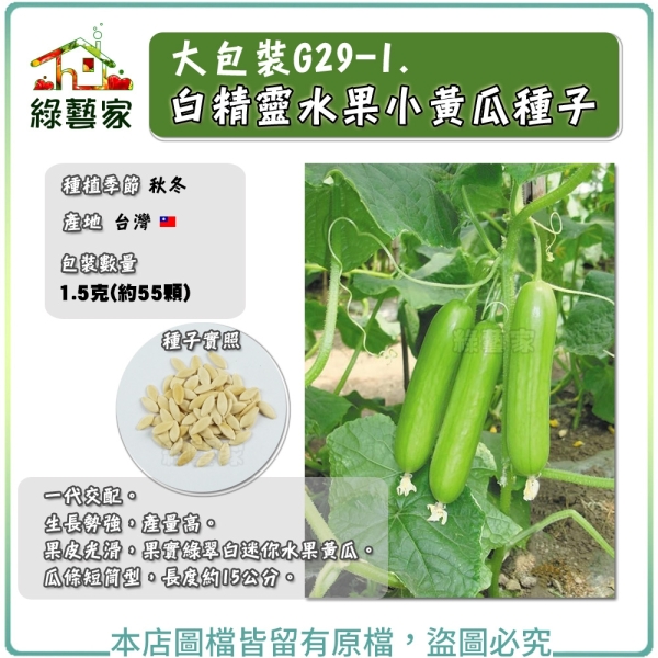 【綠藝家】大包裝G29-1.白精靈水果小黃瓜種子1.5克(約55顆)(有藥劑處理)全雌水果小胡瓜/F1 果菜