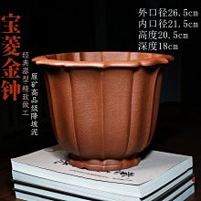 宜興紫砂花盆手工筋紋金鐘蘭花盆景竹子寶菱金鐘原礦降坡泥尺寸見圖上注