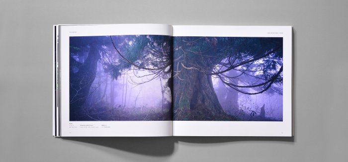 ◎ 水族之森◎ “天野尚作品集” THE ART OF NATURE AQUARIUM | Yahoo拍賣