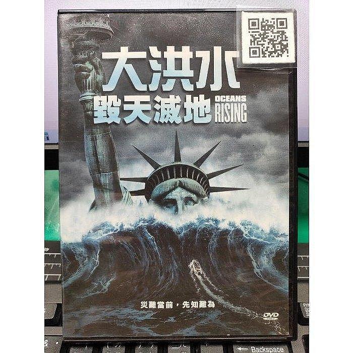 大洪水 [DVD] qqffhab 大洪水 [DVD] qqffhab