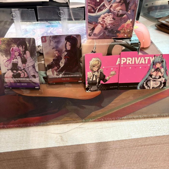 NIKKE NIVEL ARENA 勝利女神妮姬收藏盒(韓文版) AGF 2025 會場限品除