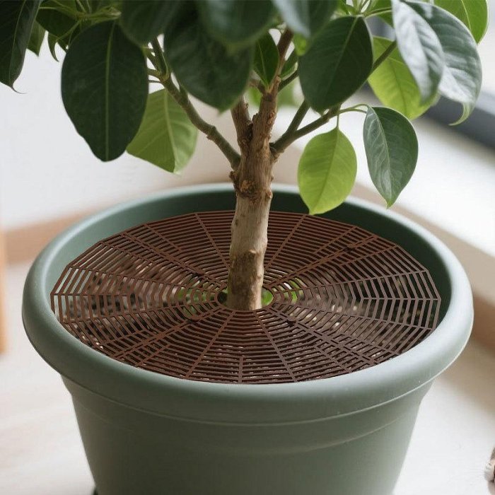 【珍愛頌】N151 可剪裁 花盆護土蓋 護土欄 固定土 鏤空固土蓋 防倒出土 固土網 花盆保護蓋 防貓抓 保護網罩