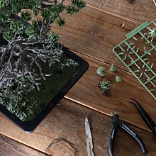 希望商店】NEIGHBORHOOD SRL X BANDAI SPIRITS . BONSAI MODEL KIT