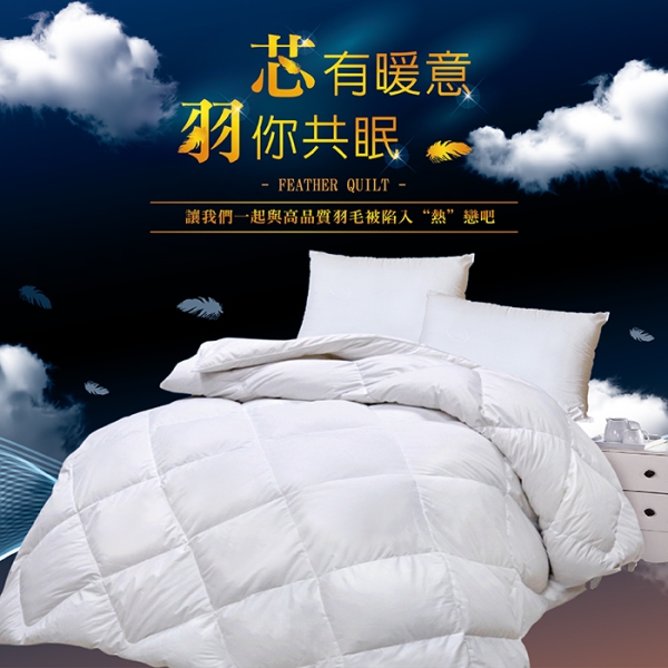 【Indian】 雙人天然水鳥羽毛絨被1.4公斤