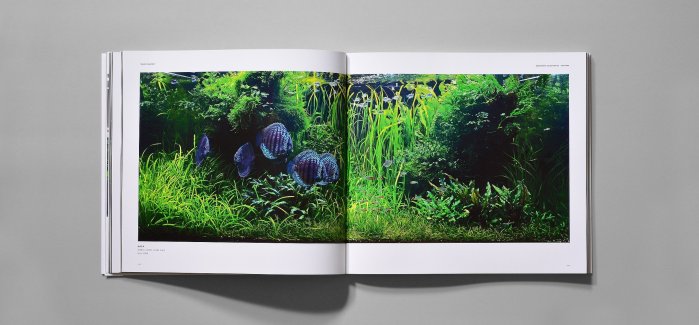 創造の原点　天野尚作品集／Origin of Creation ADA 天野 尚 作品集「創造の原点」 まもなく一般販売開始 | ADA - NEWS RELEASE