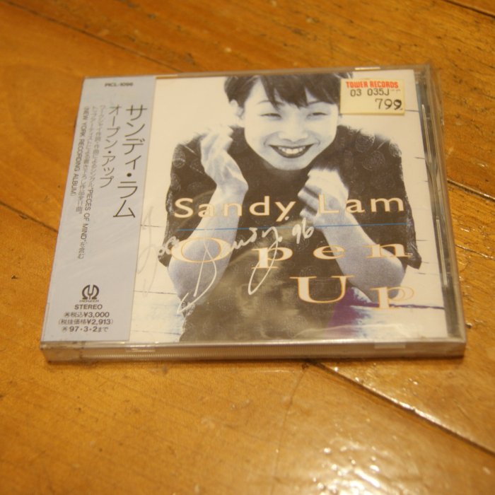 サンディ・ラム 林憶蓮 SANDY LAM Open Up PICL-1096 Sandy Lam – Open Up – CD (Album), 1995 [r11179268] | Discogs