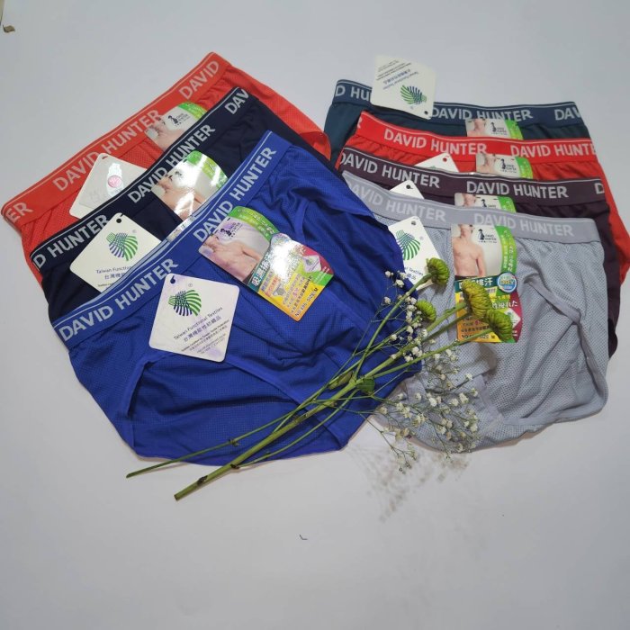 【sigmanet家庭百貨】全新大衛獵人DAVID HUNTER貨號:686男用三角吸濕排汗內褲臺灣製