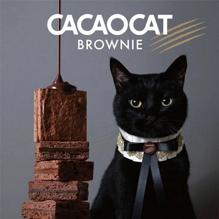 ＊日式雜貨館＊日本 北海道限定 CACAOCAT 布朗尼 黑巧克力 北海道伴手禮 可可貓 巧克力布朗尼 黑貓布朗尼夾心酥 切塊布朗尼 60G