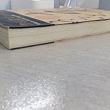 書寶二手書T1／藝術_YSH】書法鑑定-兼懷素(自敘帖)臨床診斷_傅申