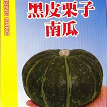 黑皮栗子南瓜 【滿790免運費】興農牌 種子 每包約6粒 台中市