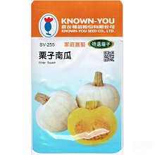 種子王國 栗子南瓜 Winter Squash (sv-255) 【蔬菜種子】農友種苗特選種子 每包約6粒 果皮雪白 台中市