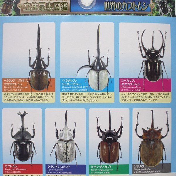 獨角仙日版甲蟲模型T427(全套7個入)/一套入(促180) 牛角蟲仿真昆蟲雙叉