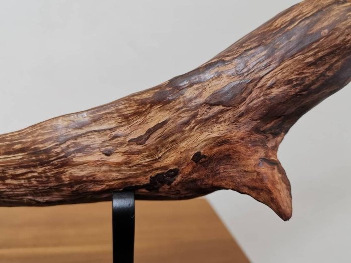 聞香・柬蒲寨産 根瘤黄花梨 聞香・柬蒲寨産 根瘤黄花梨