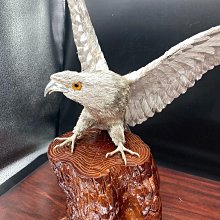日本大淵光則參展的純銀白鷹，自日本頂級金銀器制作大淵銀器之手獨特的