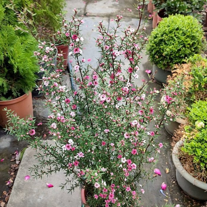 3c890393-9833-48a1-b4a0-