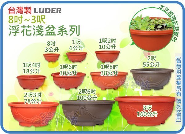 海神坊=台灣製2呎浮花淺盆圓形花盆花器盆栽風水養魚/水蓮/荷花塑膠盆無