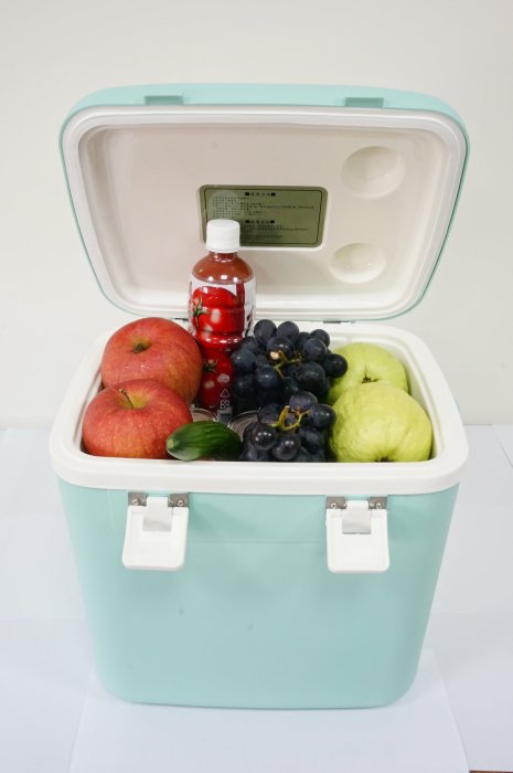 SY-101D 20L 休閒冰箱 冰桶 20公升 釣魚 露營 車用 保冰 保冷 冷藏 保溫 台灣製造