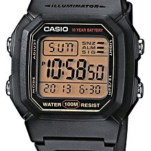 附發票 台灣卡西歐公司貨【時間光廊】CASIO 十年電池 防水100M (當兵/學生) W-800HG-9A