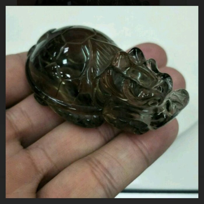 茶晶龍龜78g/62mm