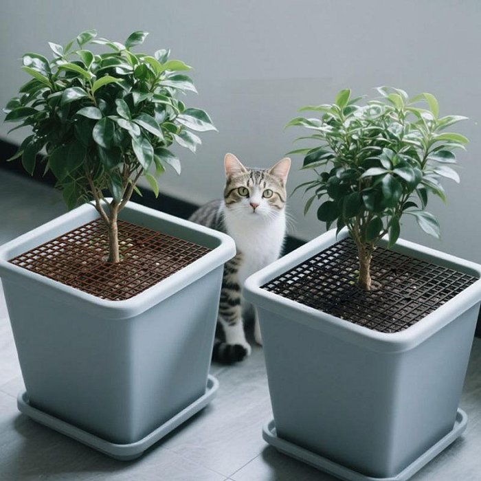 【珍愛頌】N151 可剪裁 花盆護土蓋 護土欄 固定土 鏤空固土蓋 防倒出土 固土網 花盆保護蓋 防貓抓 保護網罩