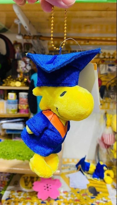 現貨-絕版日本史努比snoopy專賣店畢業服糊塗塔克woodstock史努比畢業服絨毛娃娃珠鏈吊飾 隨身娃娃玩偶 長約15公分不含珠鏈吊飾長-金金洋行