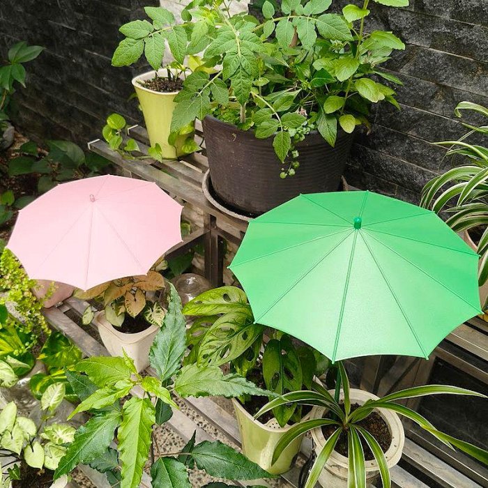 【珍愛頌】N720 植物保護傘 裝飾傘 遮陽傘 防曬傘 保護罩 植物遮雨罩 植物防曬罩 植物遮陽傘 植物雨傘 植物防護傘