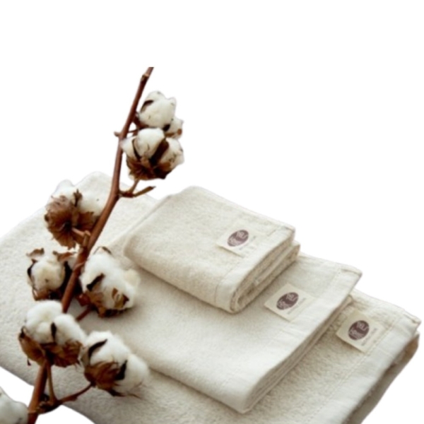 獨家無染系列超值組 【台灣興隆毛巾】原色．原棉無染純棉 多入超值組(三款可選)