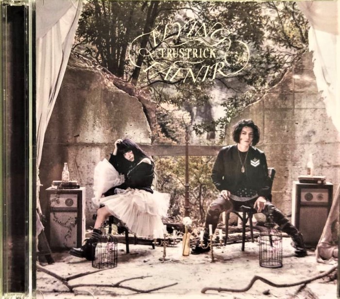 TRUSTRICK / 神田沙也加~ FLYING FAFNIR (+DVD)【Type-A】~ 日版已拆極